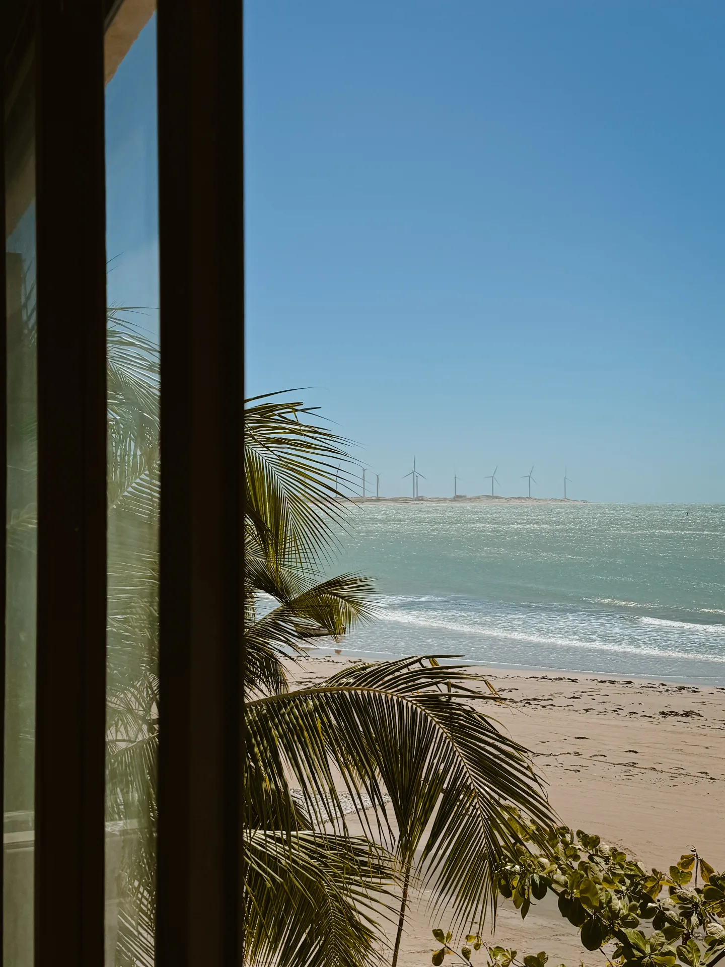 Um convite para apreciar a beleza do Ceará