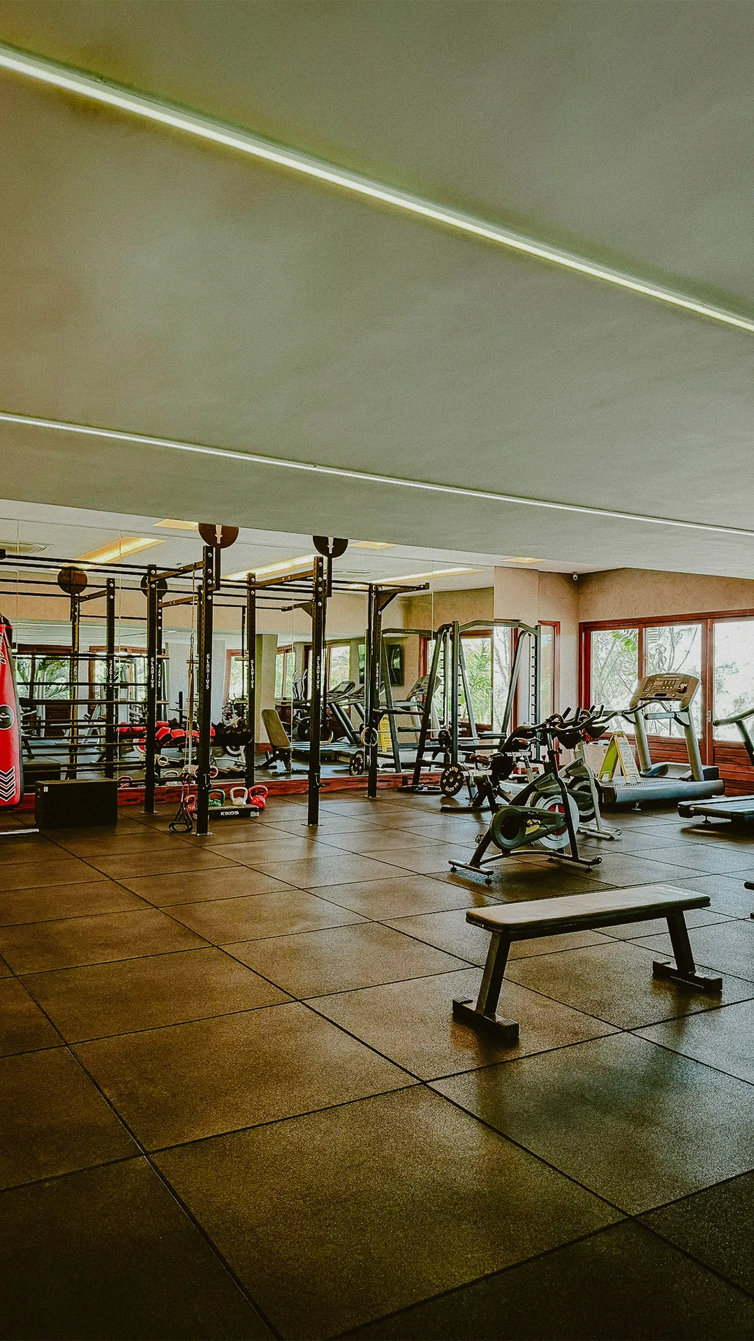 Academia